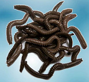 Naturköder Imitate - Meer