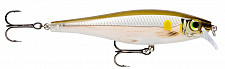 Rapala BX Minnow #BXM07