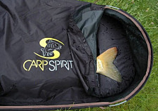 CarpSpirit - Sleeves & Beads