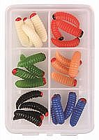 Bienenmaden - Bee Maggots
