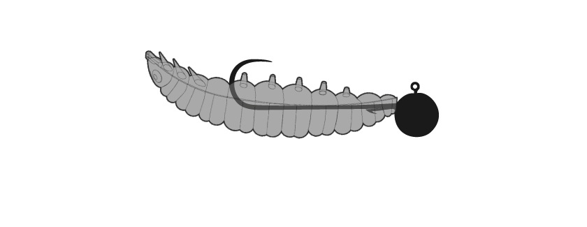 Larva an Jighead II