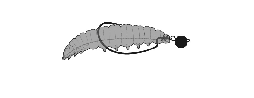Larva am Chebu