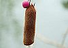 CarpSpirit - PVA Material