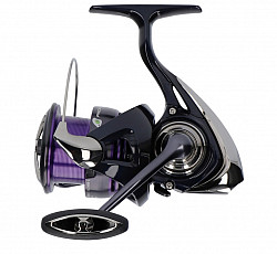 Daiwa Rolle Prorex 24 X LT #3000_C FD