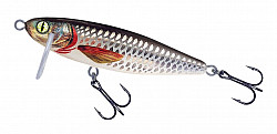 Shirasu Rapfen #Si #070 #Weissfisch