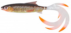 Balzer Shirasu Reptile Shad #-7cm #BaFo