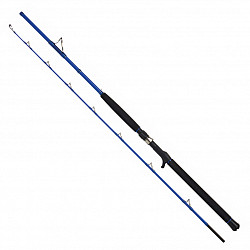 WFT Rute Sea Dart #50lbs #80_440g #210cm