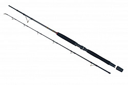 WFT Rute #Go_North_II #210cm #30lbs