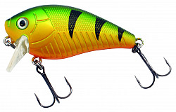 Albatros Predox #XS_Pro_Mach_1 #6cm #GP