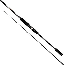 Amberjack Rute #Barsch_Zander #240cm #35