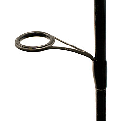 Amberjack Rute #Universal_Spin #240 #40
