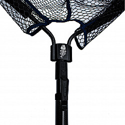 AngelSpezi Amberjack #Street_Catcher_300