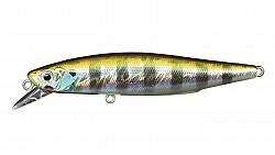Bassday Mogul Minnow -66SP Dart SB-254 B