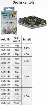 FTM Sargblei Sechskantblei #-10g -5er SB