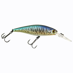 Illex Squad Shad #65_SP #Blue_Pike