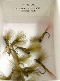 Dragon Fliege, C.D.C. dark olive 12