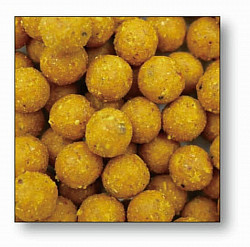Dresdner Boilies #10mm #80g #Knoblauch