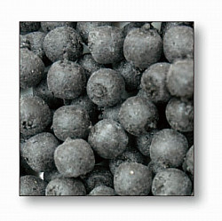 Dresdner Boilies #6-8mm #30g #Rotted Fis