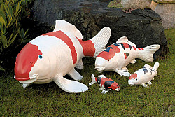 Japan Deko Koi 45cm Shiro Utsuri