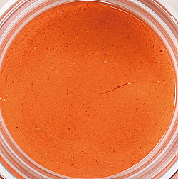 Paladin Trout Bait Forellenteig #orange