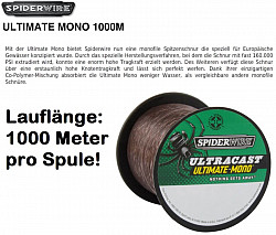 SpiderWire Ultracast - Ultimate Mono .25