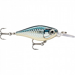Rapala X-Light Shad #FNS04 #BAP