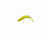 Paladin ProBaits Feinripp #50mm #Mix1-50
