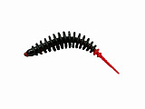 Paladin ProBaits Feinripp #50mm #Mix2-50