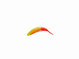 Paladin ProBaits Feinripp #50mm #Mix3-50