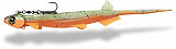 Quantum Pelagic Shad #21cm #60g #Pin #TM