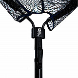 AngelSpezi Amberjack #Street_Catcher_240