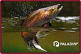 Paladin Türmatte - Fussmatte #Trout