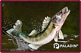 Paladin Türmatte - Fussmatte #Walleye