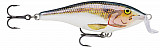 Rapala Shallow Shad Rap #SSR09 #SD