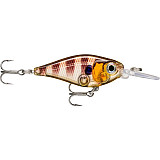 Rapala X-Light Shad #FNS04 #GGIU