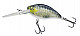 Shirasu Crankbait #DR #035 #Highlight