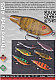 Iron Claw Jerkbait Phanto Glide ABS-YT