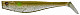 Illex Dexter Shad 150mm #Muddy_Roach