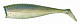 Illex Nitro Shad  65 #Secret Herring