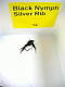 Dragon Fliege, Black Nymph Silver Rib 14