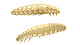 Libra Lures #Larva_35 #Käse #Cheese