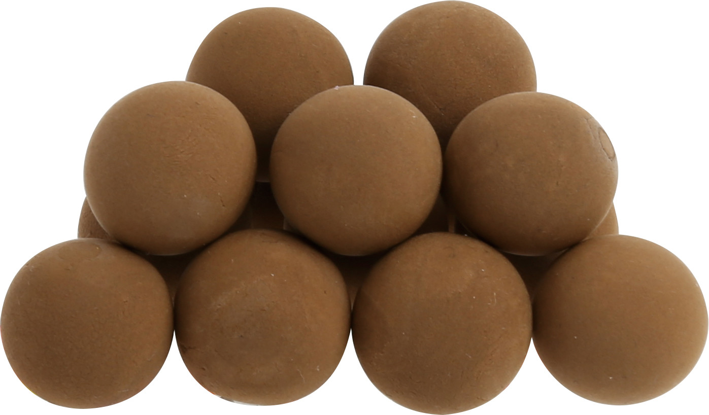 Paladin Power PopUp Boilies #8_10mm #O_F