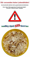 Bienenmaden #Normal #30_40 Stück