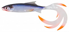 Balzer Shirasu Reptile Shad #15cm #Weißf