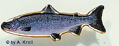 Logo-Pin, Lachs