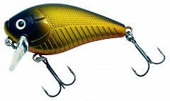 Albatros Predox #XS_Pro_Mach_1 #6cm #GD