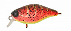 Illex Chubby 38 - Spicy Louisy Craw