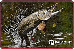 Paladin Türmatte - Fussmatte #Pike