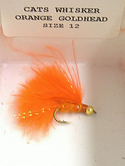 Dragon Fliege, Cats Whisker Orange Goldh