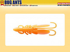 Bug Ants 2er, Midnight Orange